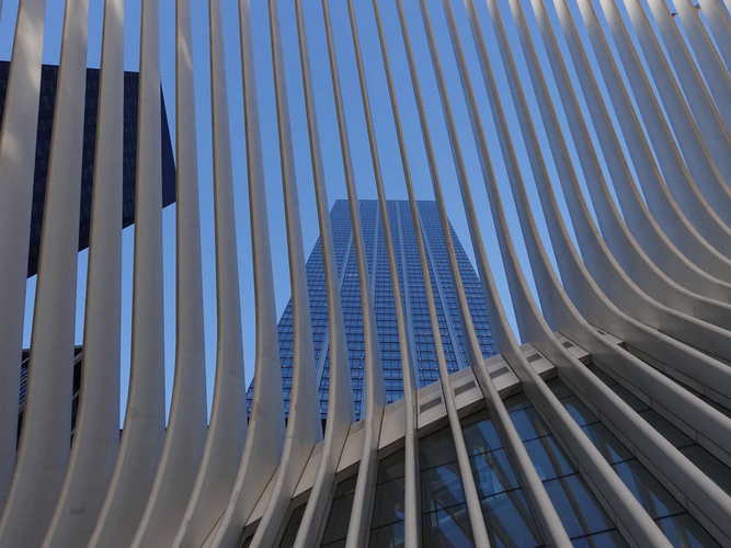 NYC_2024-02-04 16-04-01_RX_07337